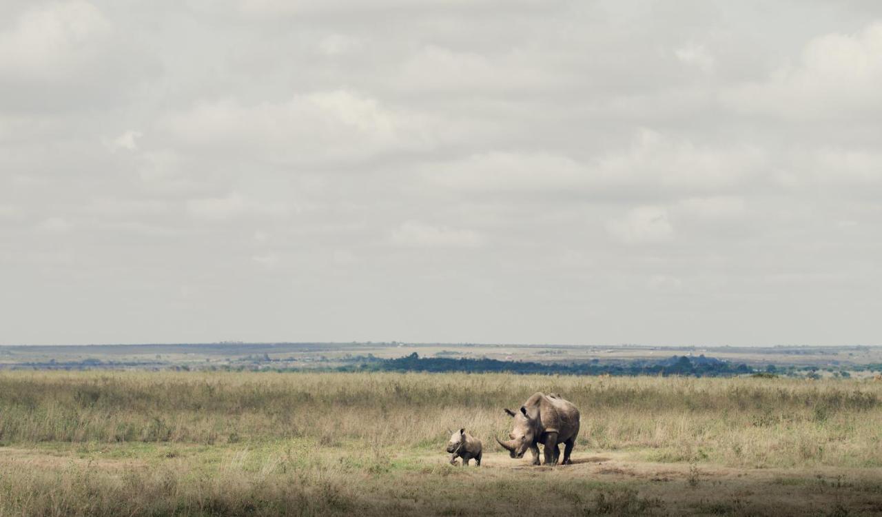Ololo Safari Lodge Nairobi Dış mekan fotoğraf