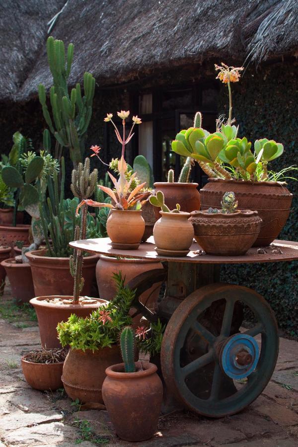 Ololo Safari Lodge Nairobi Dış mekan fotoğraf